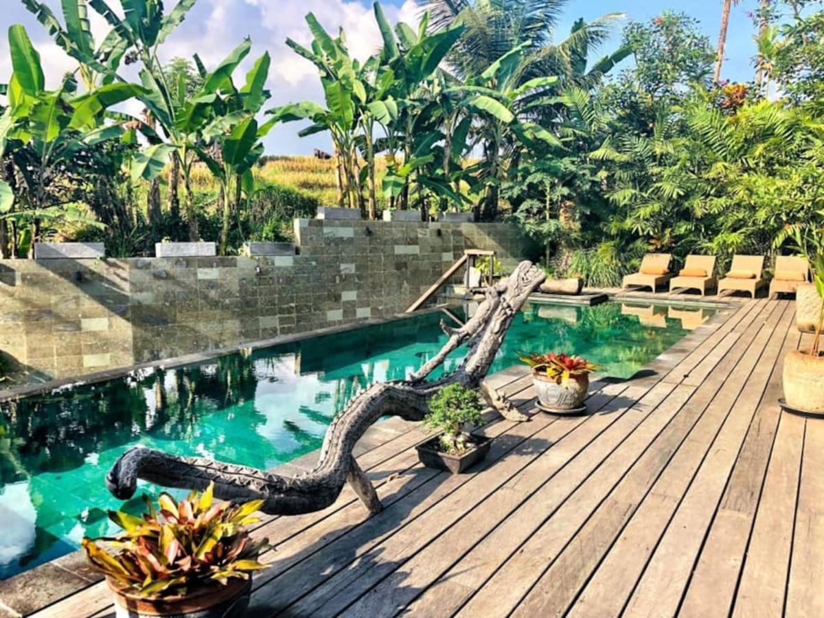 Dragon House - Your Dream House In Bali! Ουμπούντ Εξωτερικό φωτογραφία