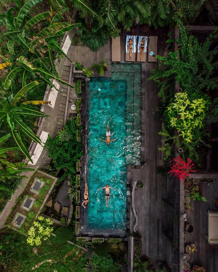 Dragon House - Your Dream House In Bali! Ουμπούντ Εξωτερικό φωτογραφία